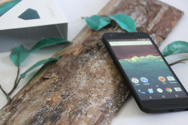 Google Nexus 5X by LG Test